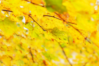 Similar image 21311524