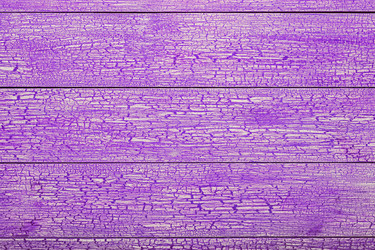 Similar image 21311539