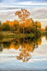 Similar image 21311542