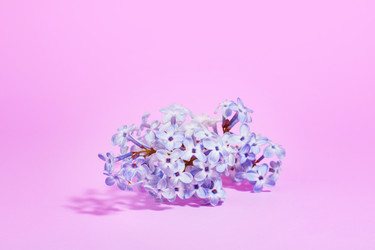 Similar image 21321725