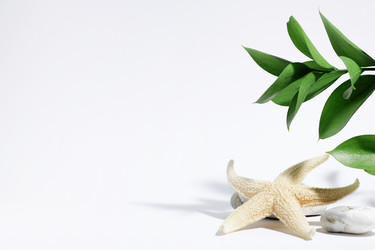 Similar image 21325566