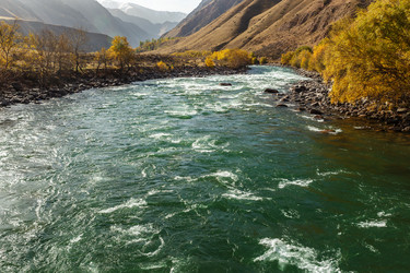 Similar image 21317127