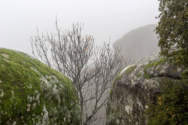 Similar image 21314888