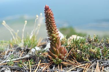 Similar image 21316541