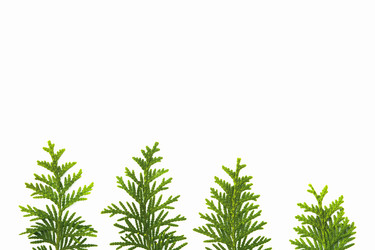 Similar image 21322687