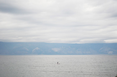 Similar image 21316551