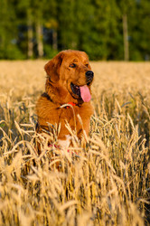 Similar image 21317181