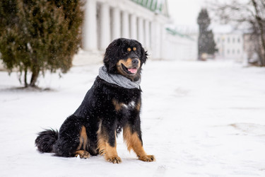 Similar image 21316455