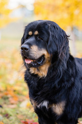 Similar image 21316456