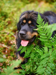 Similar image 21316458