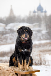 Similar image 21316461