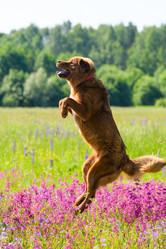 Similar image 21316462