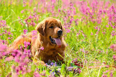 Similar image 21316463