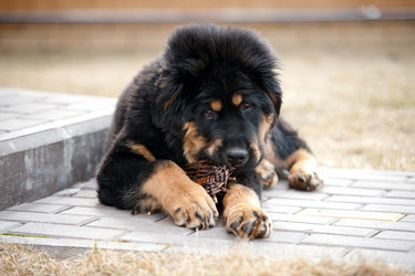 Similar image 21316467