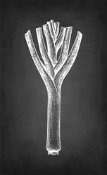 Similar image 21316827