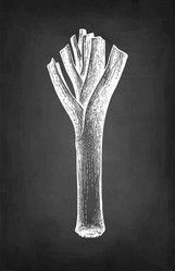 Similar image 21316828