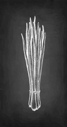 Similar image 21316829