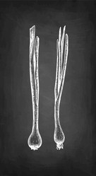 Similar image 21316831