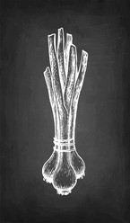 Similar image 21316832