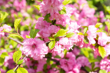 Similar image 21314850