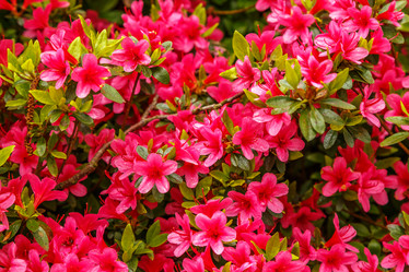 Similar image 21330466