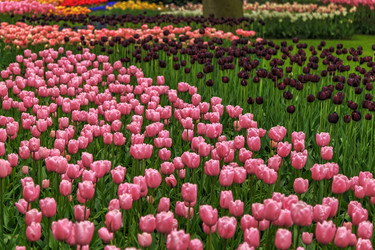 Similar image 21330484