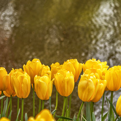 Similar image 21330486