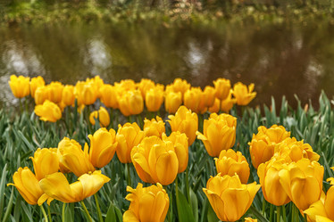 Similar image 21330488