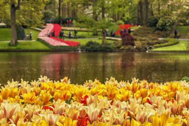 Similar image 21330499