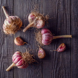 Similar image 21330535