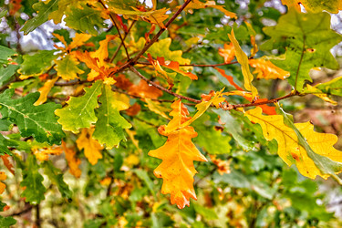 Similar image 21330538