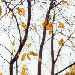 Similar image 21330056