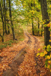 Similar image 21330058