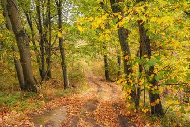 Similar image 21330061