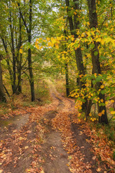 Similar image 21330064