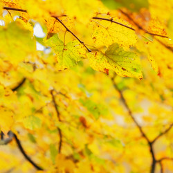 Similar image 21314870