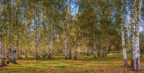 Similar image 21314872