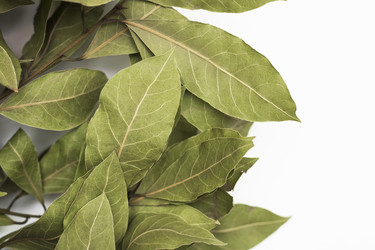 Similar image 21322691