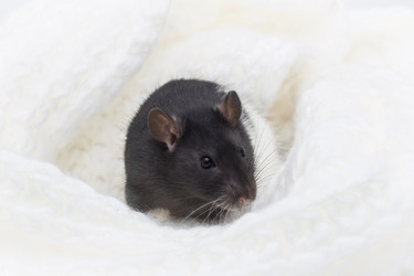 Similar image 21322916