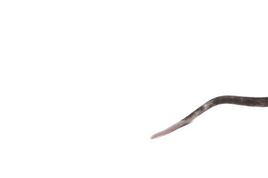 Similar image 21322921