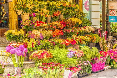 Similar image 21315664