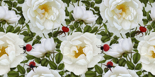 Similar image 21319988