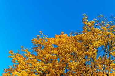 Similar image 21324758