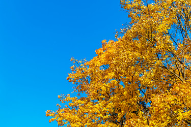 Similar image 21324759