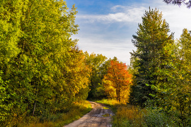 Similar image 21324761