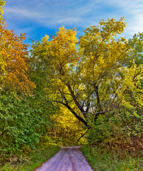 Similar image 21324762