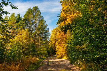 Similar image 21324763