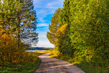 Similar image 21324764