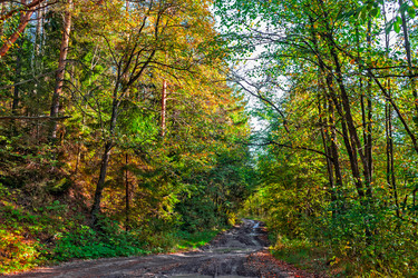 Similar image 21324812