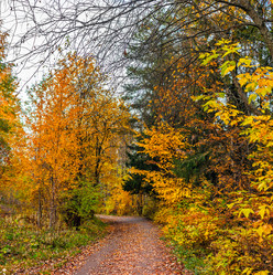 Similar image 21324815